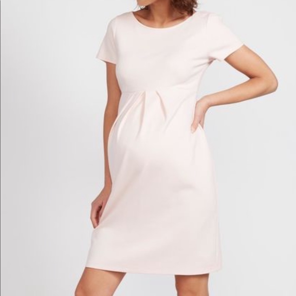 Isabella Oliver Maternity Dress NWT